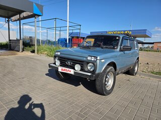 2004 Lada (ВАЗ) 2131 (4x4) I, серебристый, 340000 рублей, вид 2