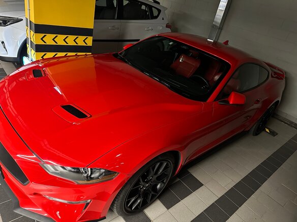 2021 Ford Mustang VI Рестайлинг, красный, 4200000 рублей - вид 9