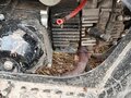 2018 Racer Alpha, серый, 60000 рублей - вид 7