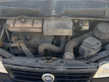 2009 Fiat Professional Ducato, синий, 800000 рублей, вид 4
