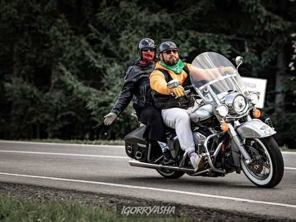 2003 Harley-Davidson Road King, серебристый, 750000 рублей