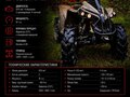 2022 BRP Can-Am Renegade 1000, бежевый, 1600000 рублей