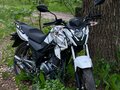 2024 Stels RK125, белый, 87000 рублей - вид 3