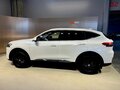2019 Haval F7 I, белый, 1490000 рублей - вид 5