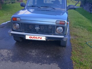 2013 Lada (ВАЗ) 2131 (4x4) 213105 I, серый, 310000 рублей, вид 2