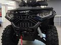 2026 Loncin XWolf 1000, синий, 1164000 рублей - вид 1