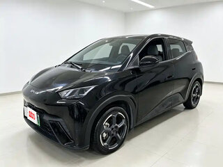 2024 BYD Seagull 38.88 kWh I, чёрный, 1650000 рублей, вид 1