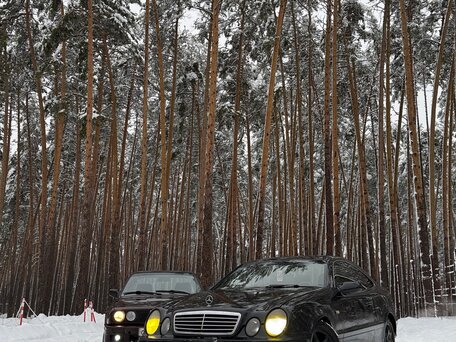 1999 Mercedes-Benz CLK-Класс 200 I (W208), синий, 299000 рублей, вид 5