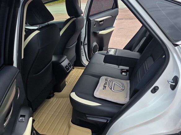2021 Lexus NX 200 I Рестайлинг, белый, 4000000 рублей - вид 12
