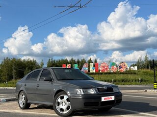 2001 Skoda Octavia I (A4) Рестайлинг, серый, 400000 рублей, вид 1