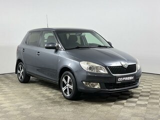 2010 Skoda Fabia II Рестайлинг, серый, 460000 рублей, вид 1