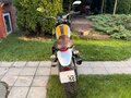 2016 Ducati Scrambler 800, жёлтый, 569000 рублей - вид 6