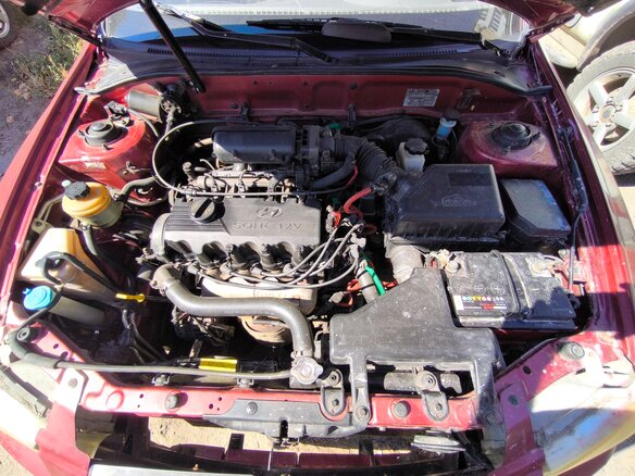 2006 Hyundai Accent ТагАЗ II, красный, 350000 рублей - вид 5