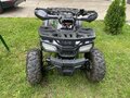 2024 Motoland ATV 125 Fox, зелёный, 90000 рублей