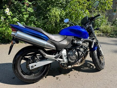 2002 Honda CB 600F Hornet, синий, 329000 рублей, вид 4