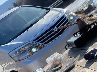 2004 Toyota Alphard I, серебристый, 1700000 рублей, вид 4