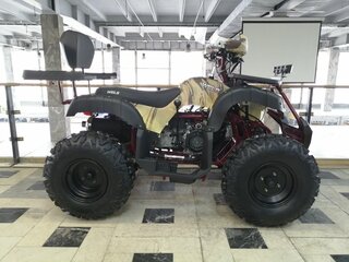 2024 Wels Thunder 200 HS, коричневый, 169000 рублей, вид 5