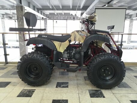2024 Wels Thunder 200 HS, коричневый, 169000 рублей, вид 5