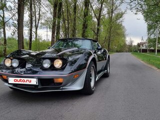 1978 Chevrolet Corvette C3, чёрный, 7100000 рублей, вид 2