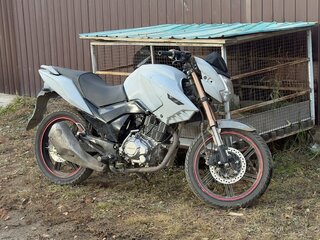 Irbis VJ 250