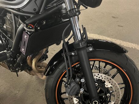 2022 Kawasaki Z 650RS, серый, 750000 рублей, вид 5