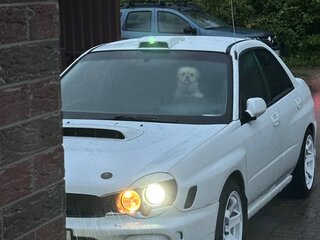 2001 Subaru Impreza WRX II, белый, 700000 рублей, вид 1