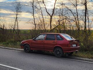 2008 Lada (ВАЗ) 2114, красный, 125000 рублей, вид 5