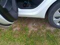 2016 Kia Rio III Рестайлинг, белый, 860000 рублей - вид 7