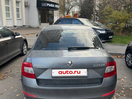 2014 Skoda Octavia III (A7), серый, 635000 рублей, вид 3