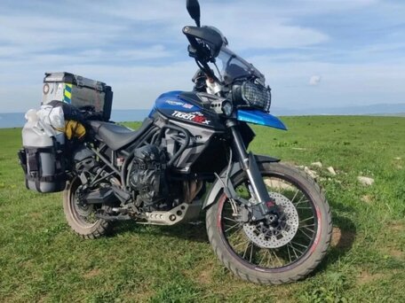 2015 Triumph Tiger 800, чёрный, 630000 рублей, вид 5