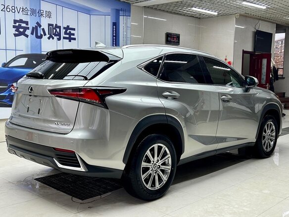 2019 Lexus NX 200 I Рестайлинг, серебристый, 2674000 рублей - вид 5