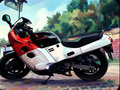 1988 Honda CBF 1000, белый, 215000 рублей