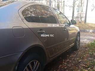 2009 Skoda Octavia II (A5) Рестайлинг, серый, 510000 рублей, вид 3