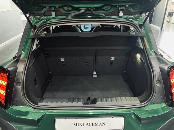 2025 Mini Aceman E, зелёный - вид 20