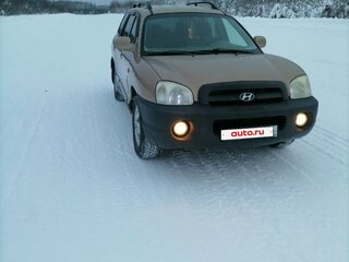 2001 Hyundai Santa Fe I, бежевый, 300000 рублей, вид 4