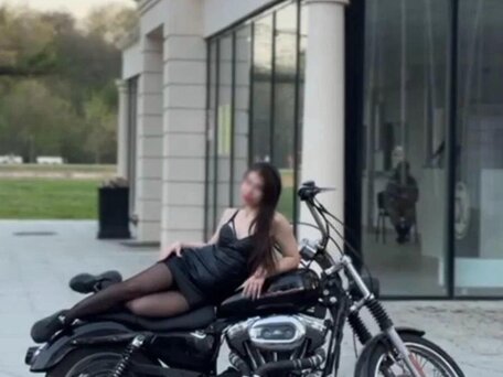 2004 Harley-Davidson Sportster 1200, чёрный, 540000 рублей, вид 3
