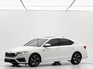 2023 Skoda Octavia IV (A8), белый, 2250000 рублей, вид 4