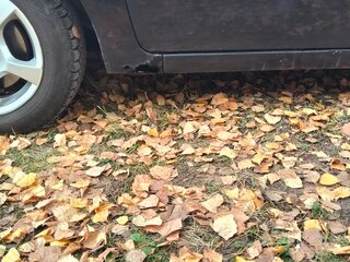 2005 Ford Fiesta Mk5, чёрный, 220000 рублей, вид 4