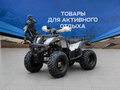 2026 Другие Мотовездеходы (другие), чёрный, 137700 рублей