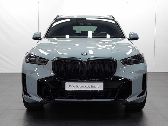 2025 BMW X5 40i IV (G05/G18) Рестайлинг, серый, 15350000 рублей - вид 1