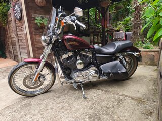 2012 Harley-Davidson XL1200, пурпурный, 920000 рублей, вид 4