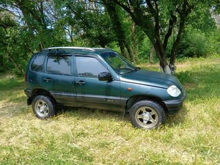 2004 Chevrolet Niva I, зелёный, 330000 рублей, вид 4
