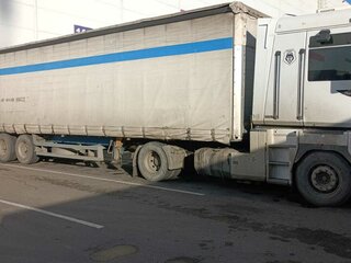 2001 Renault Magnum, белый, 2500000 рублей, вид 3