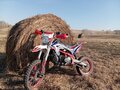 2021 BSE PH 150, красный - вид 1