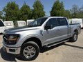 2024 Ford F-150 Lobo XIV Рестайлинг, серебристый