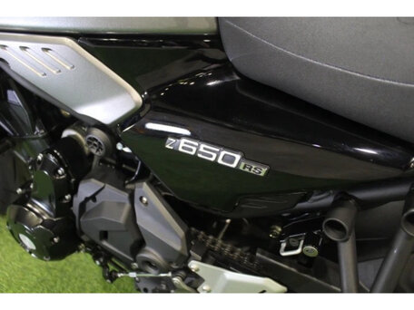2023 Kawasaki Z 650RS, серый, 738000 рублей, вид 5