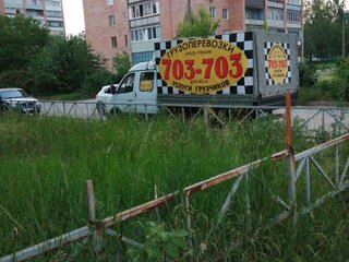 2006 ГАЗ ГАЗель (33023/330273) Фермер, белый, 500000 рублей, вид 2