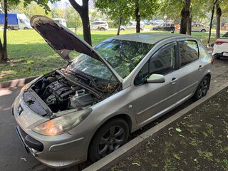 2007 Peugeot 307 I Рестайлинг, серый, 300000 рублей, вид 2