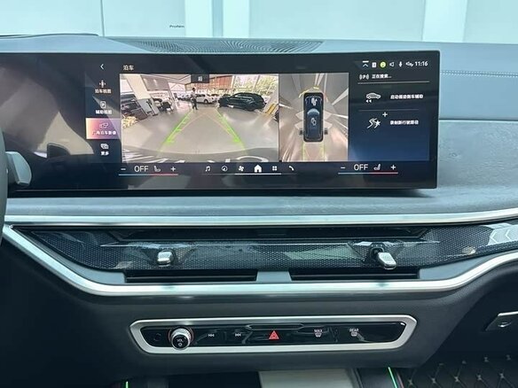2025 BMW X5 Long 30Li IV (G05/G18) Рестайлинг, чёрный, 9900000 рублей - вид 10