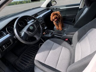 2010 Skoda Superb DSG II, чёрный, 750000 рублей, вид 5